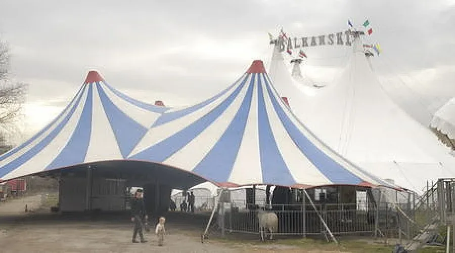 Каскадьори се сблъскаха в цирк "Балкански"