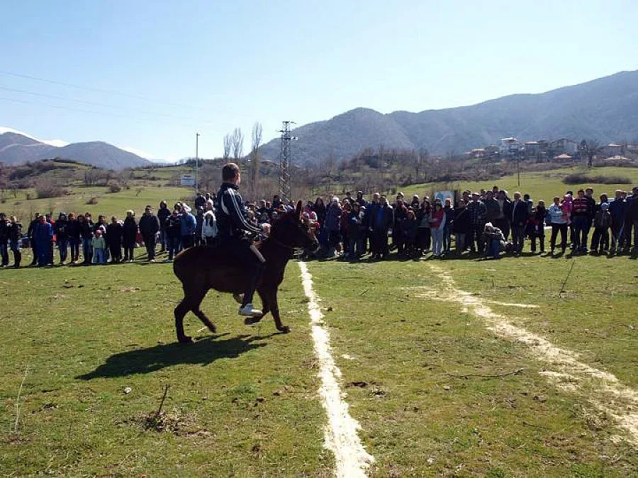 Коне мерят сили край Разлог