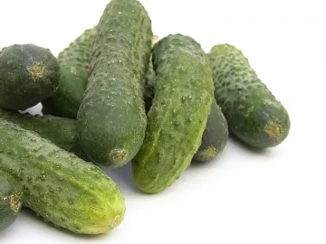 Корнишони сменят тютюна в Господинци