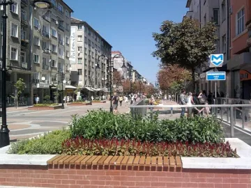 Розови кестени ще красят "Витошка"