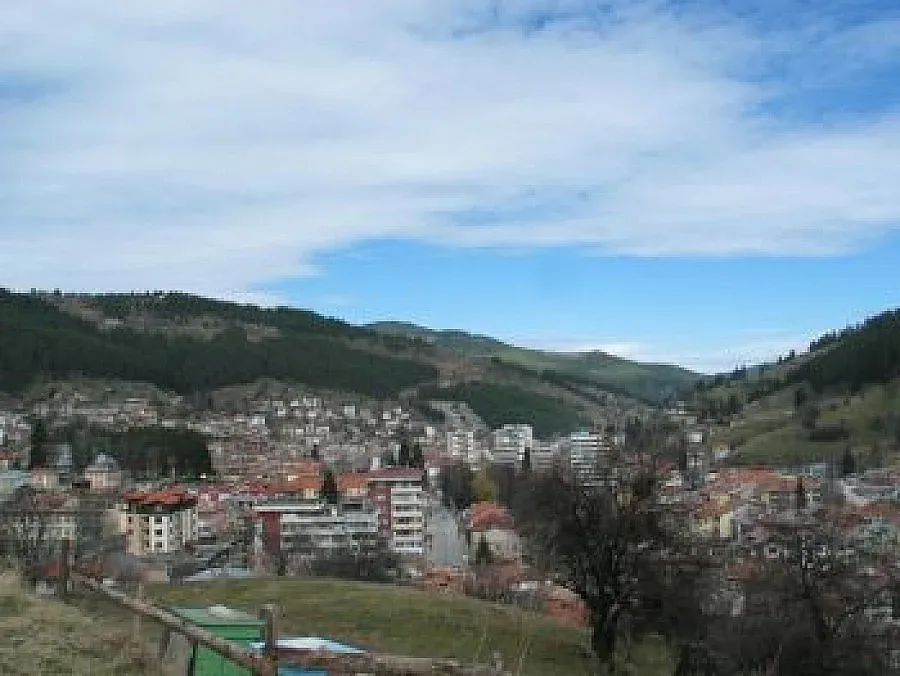 "Адвокатка" на Лужков осъдена за измама