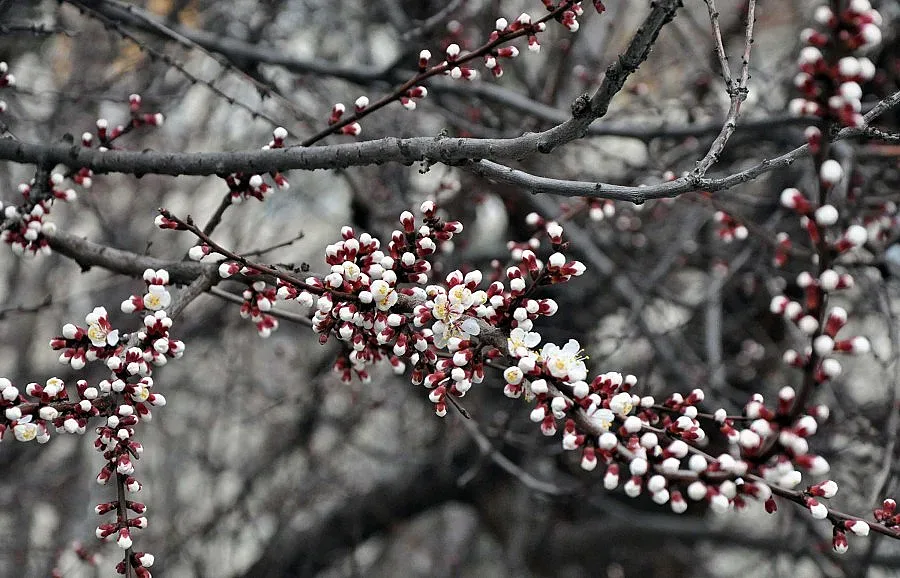 Температурите днес ще стигнат до 23°