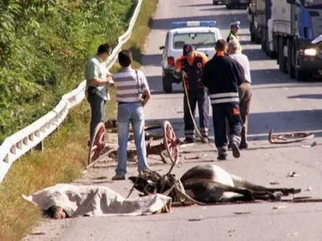 Катастрофа с кон затвори магистрала Люлин 