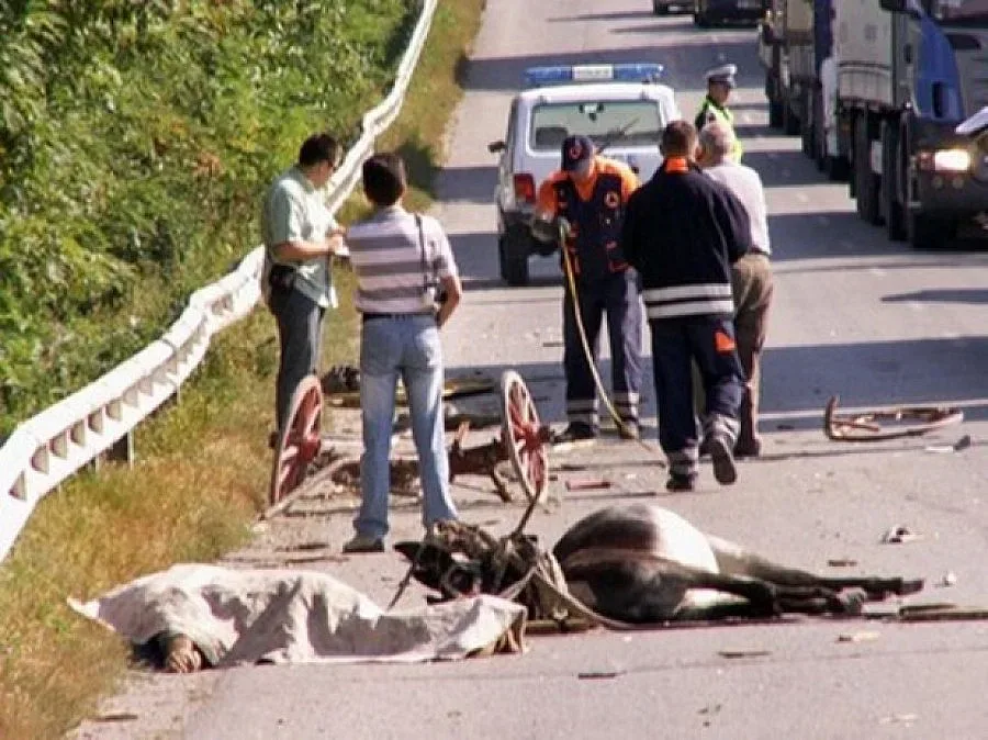 Катастрофа с кон затвори магистрала Люлин 