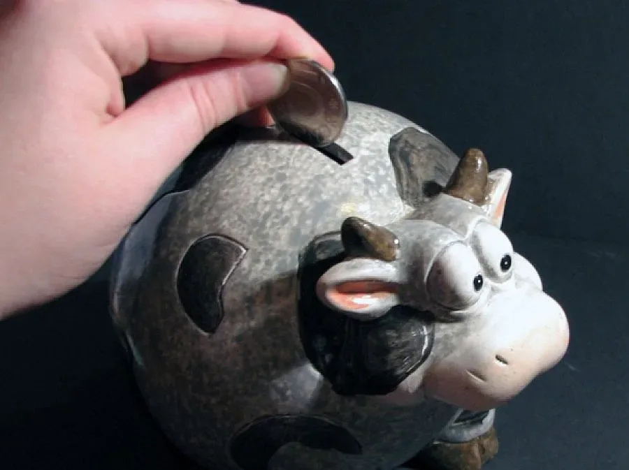 Шефове на Енерго си крият парите