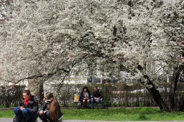 Топло, но облачно до края на седмица