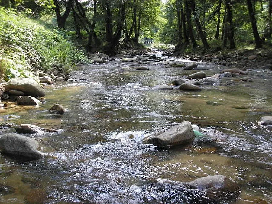 Велинградска река преля, мост край Белово пред рухване