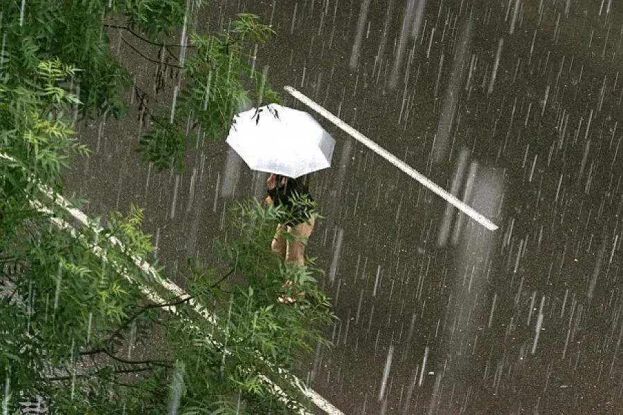 Дъждът достигна до 19 л/кв. м в Пазарджик