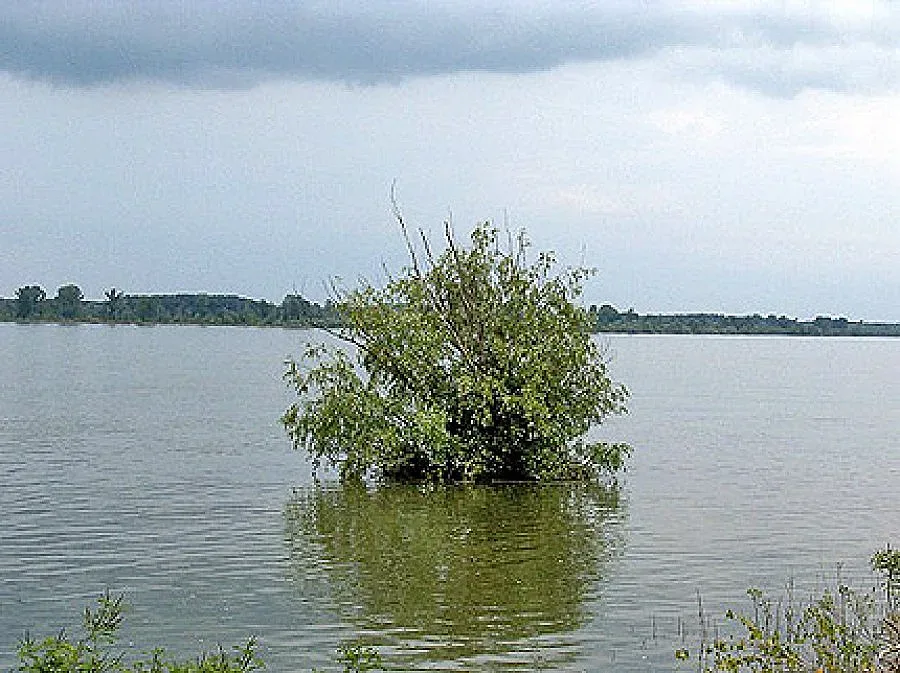 С 31 см. се е повишило нивото на Дунав за 24 часа