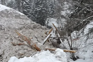 Чудо спасило Дойчин от лавината