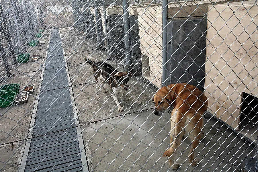 Фандъкова: Има напрежение в Общинския съвет