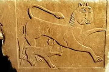 Даряват болно дете с герба на Стара Загора