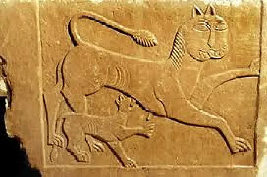 Даряват болно дете с герба на Стара Загора