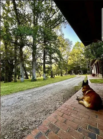 Погребват Ален Делон. Лубо чака да се върне!
