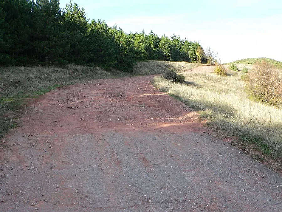 Похитиха двама братя