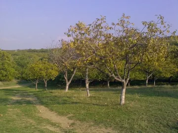 Още 74 стопанства получават финансиране за техника