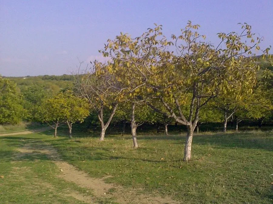 Още 74 стопанства получават финансиране за техника