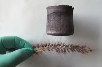 Китайци създадоха най-лекия материал