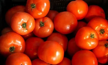 Доматите скочиха с 11% за седмица