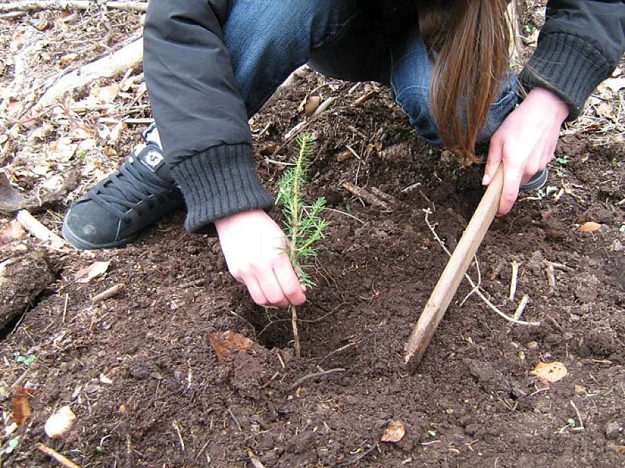 Горски проекти получават 3,5 млн. лв. от програмата за селските райони