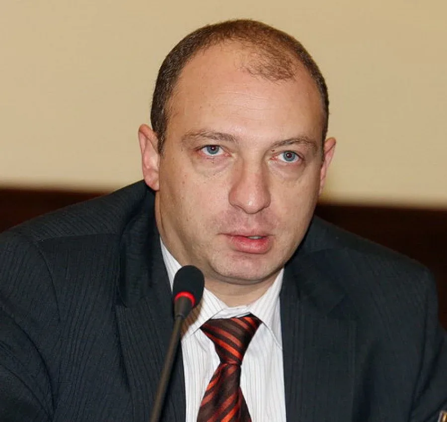 Втори Стефан Софиянски в политиката