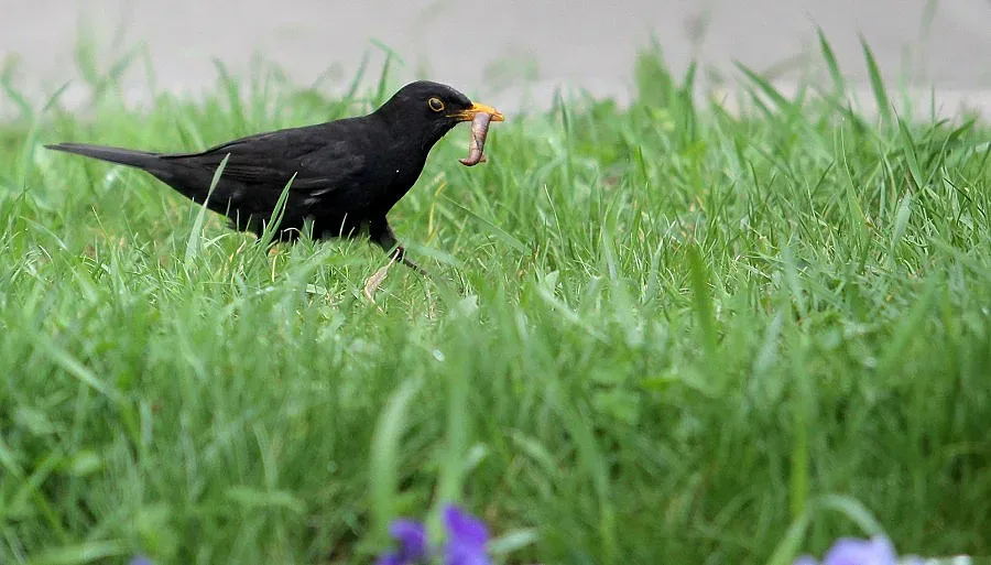 Април иде с пролетно време