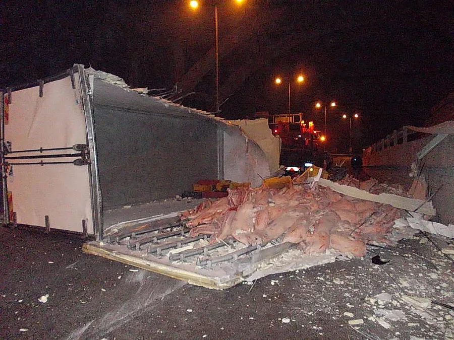 Камион разсипа пресни пържоли до Търново