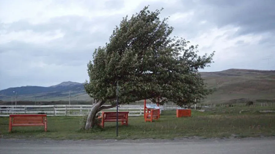 Опасен вятър в цялата страна