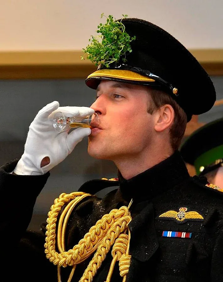 Принц Уилям влиза в сериал