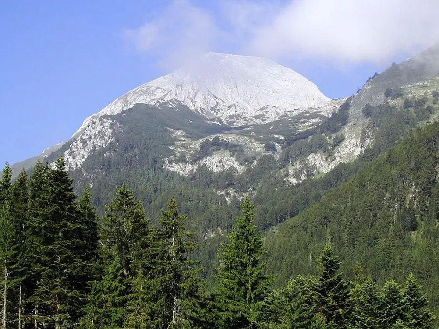 Сезират Брюксел за обществената поръчка за плана на Пирин