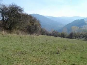 Старо танково поделение пълно с мини