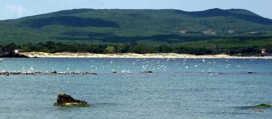 Спряха строежа на Ропотамо