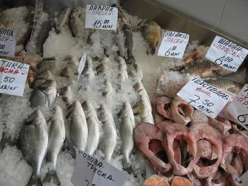 Опашки за риба на Благовец