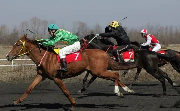 Ученик стана шампион на кушия