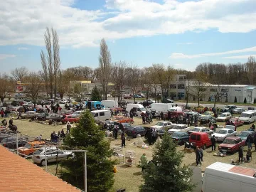 Показват пощенски гълъби на Тодоровден