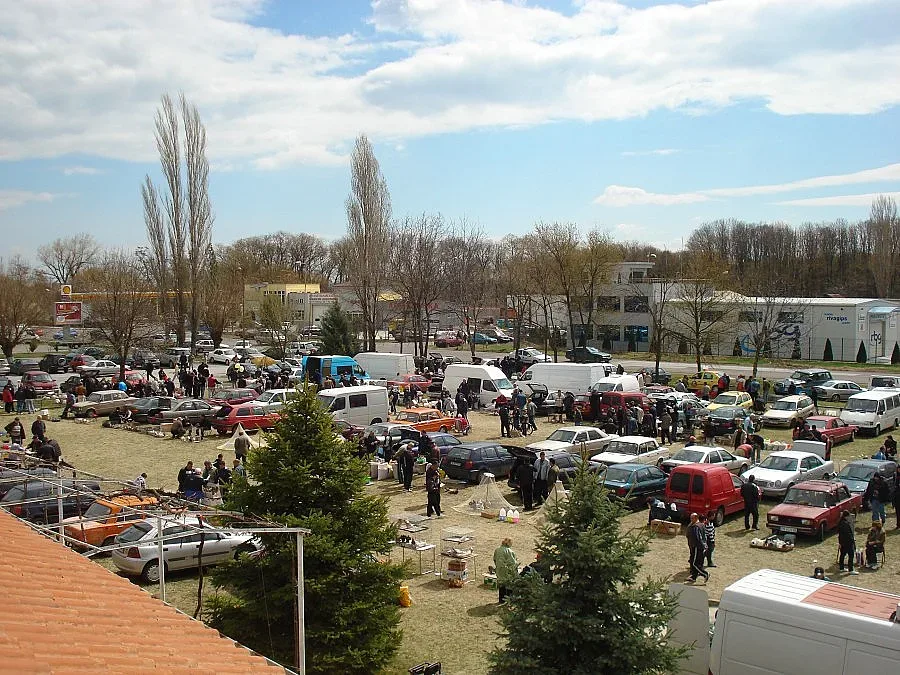 Показват пощенски гълъби на Тодоровден