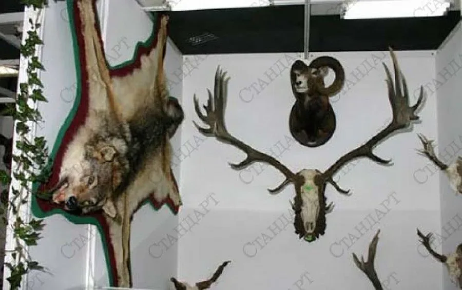 Шампиони сме по ловни трофеи