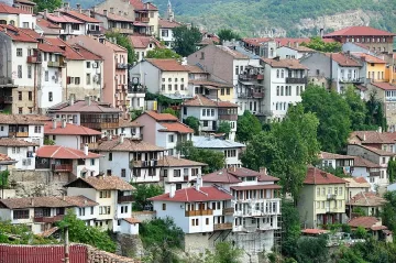 Питат великотърновци какви дървета искат