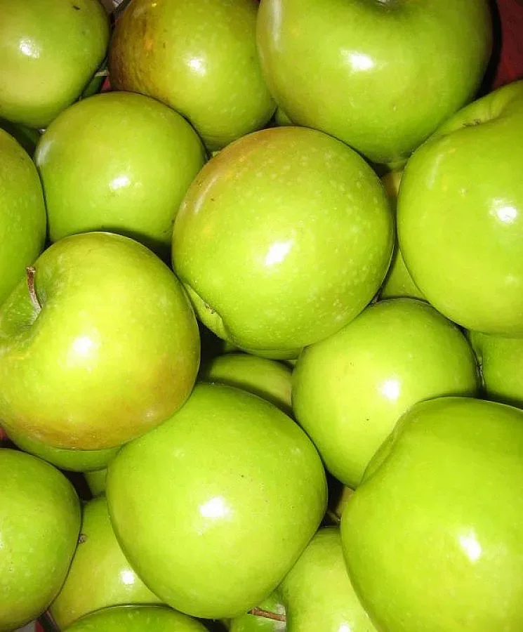 Ябълките по стандарт останаха без помощи