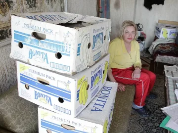 И Вики ще се пали на жълтите павета