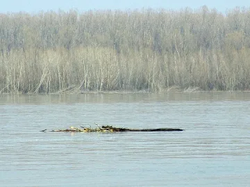 Дигите сигурни, няма опасност за Дунав