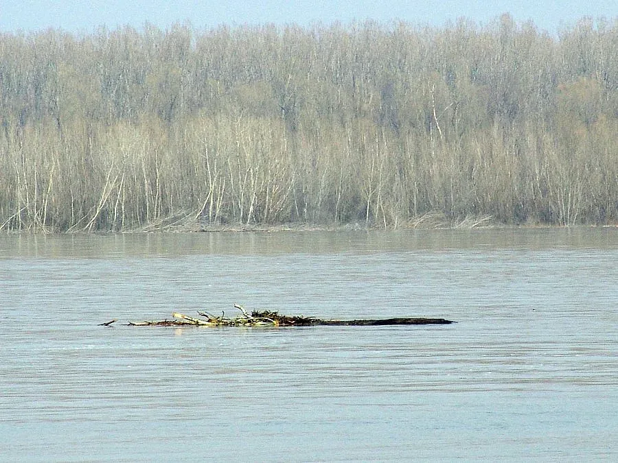 Дигите сигурни, няма опасност за Дунав