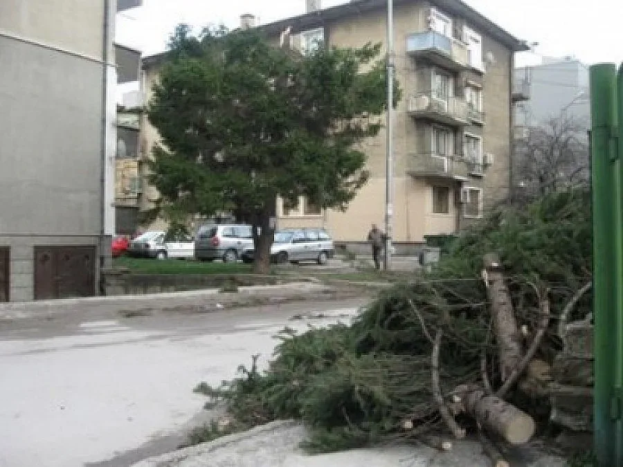 Дъжд и сняг укротяват урагана