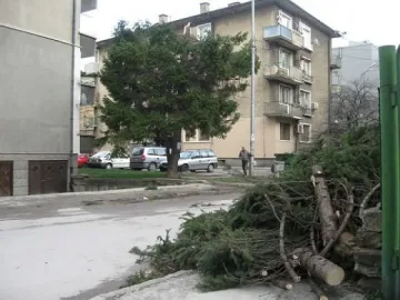 Бурята уби жена