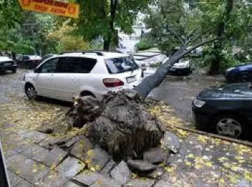 Ураганът кърши клони