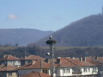 В Балкана свалят мартениците