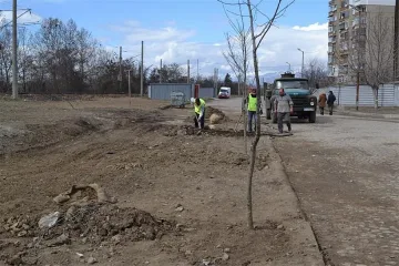 Градът на розите грейва с 5 млн. 