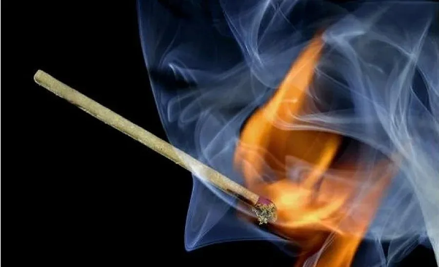 Седем германци загинаха в пожар