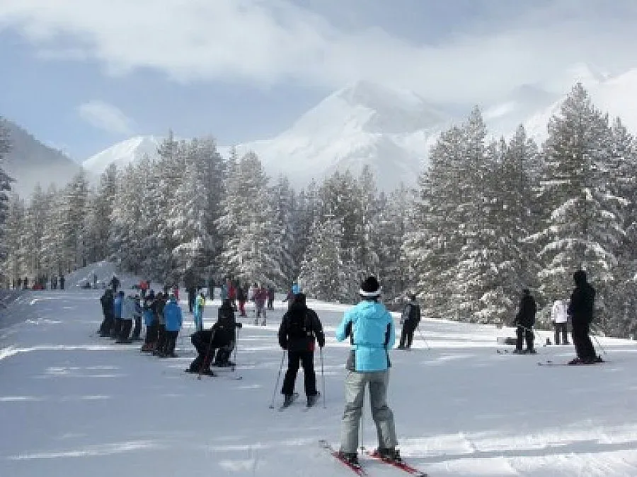 Скиори юруш на 50% промоция