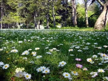 Живакът удари 21,5 в Ловеч